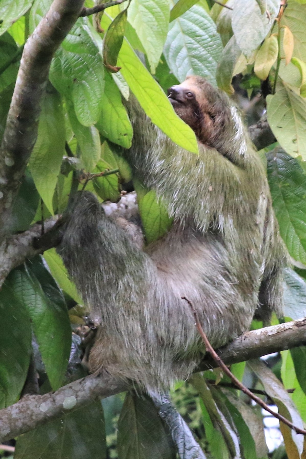 Costa Rica